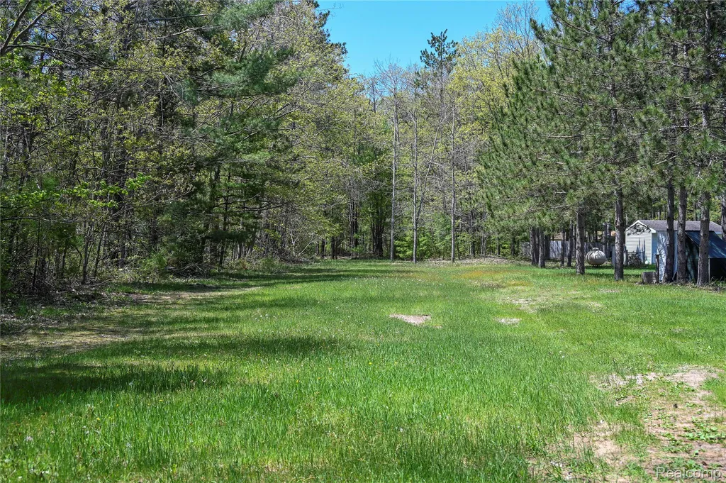 1094 Blamer Road Comins Township MI 48621