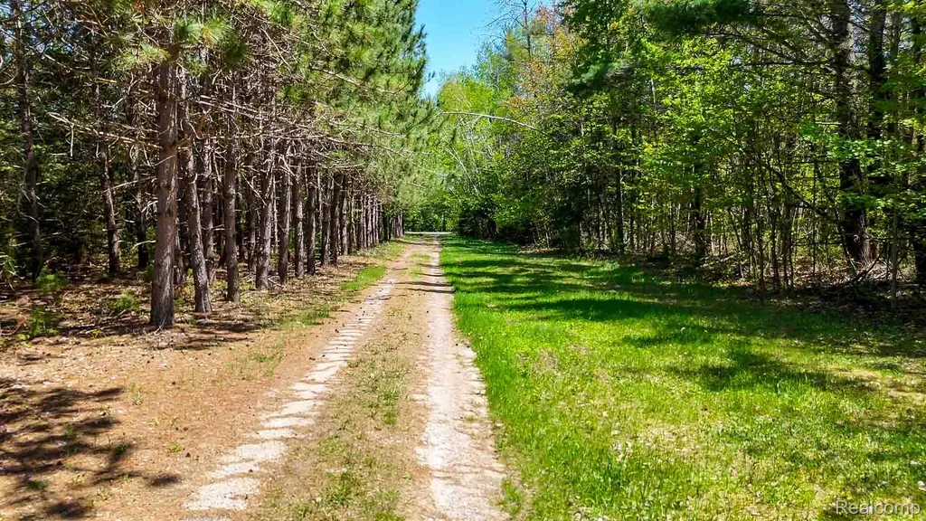 1094 Blamer Road Comins Township MI 48621