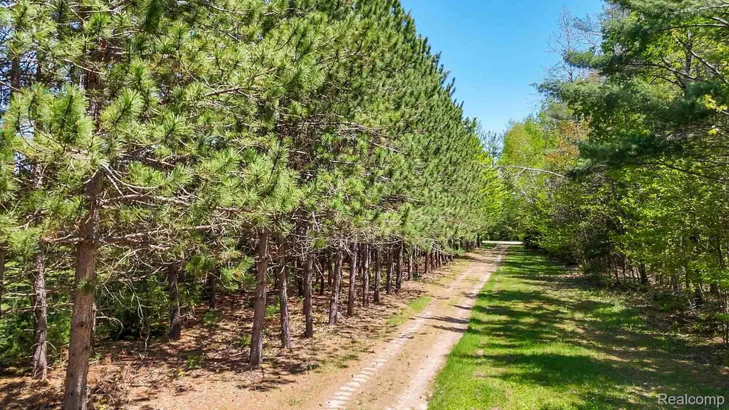 1094 Blamer Road Comins Township MI 48621