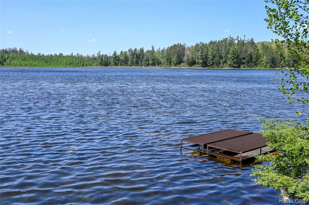 1094 Blamer Road Comins Township MI 48621