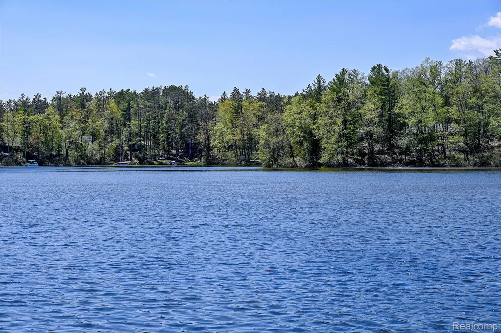 1094 Blamer Road Comins Township MI 48621