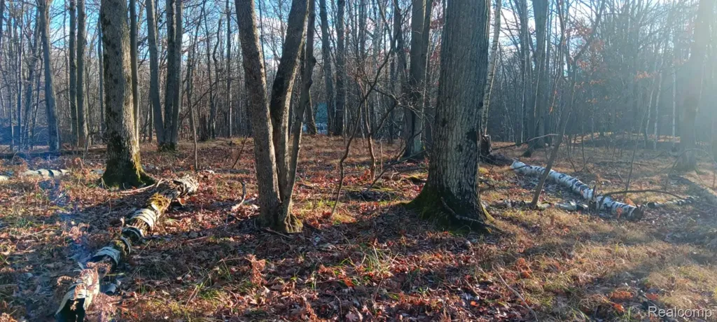 1782 Hemlock Lane Lincoln Township MI 48622