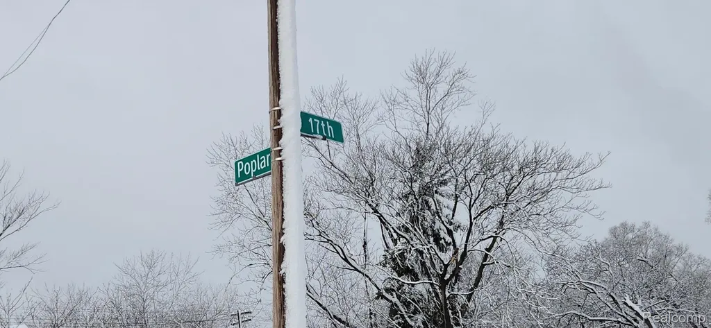 3997 17th Street Detroit City MI 48208