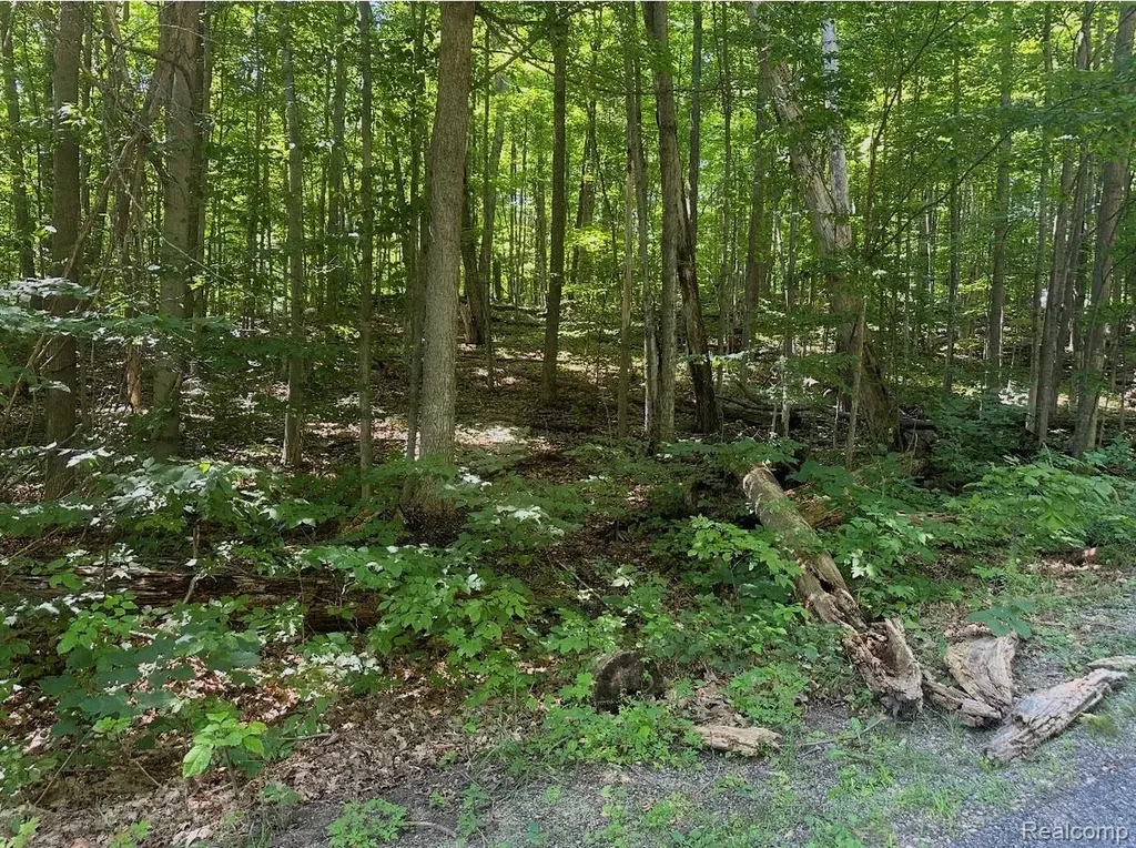 Lot 185 Forestgrove Court Forestgrove Road Mancelona Township MI 49730