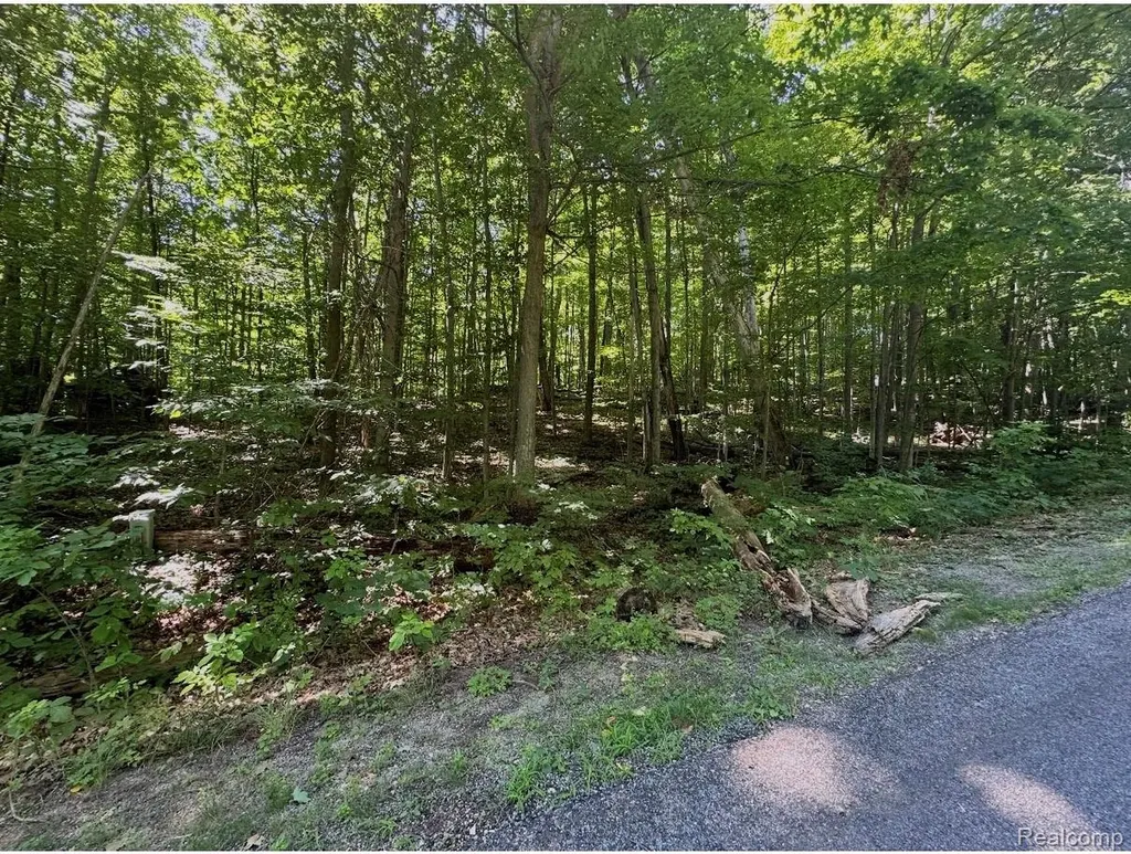 Lot 185 Forestgrove Court Forestgrove Road Mancelona Township MI 49730