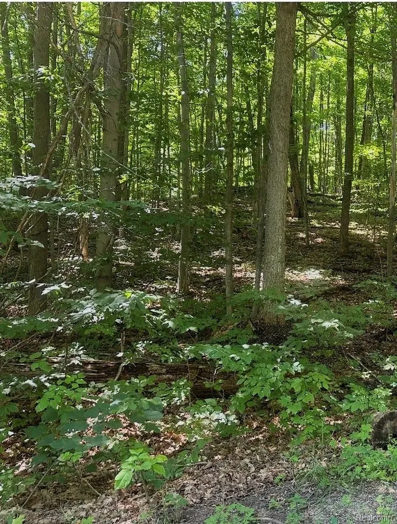 Lot 185 Forestgrove Court Forestgrove Road Mancelona Township MI 49730