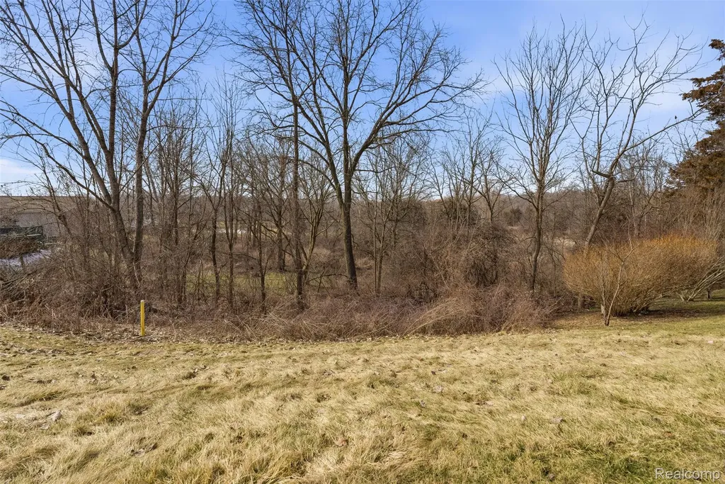 11050 Willowgreen Court Green Oak Township MI 48178
