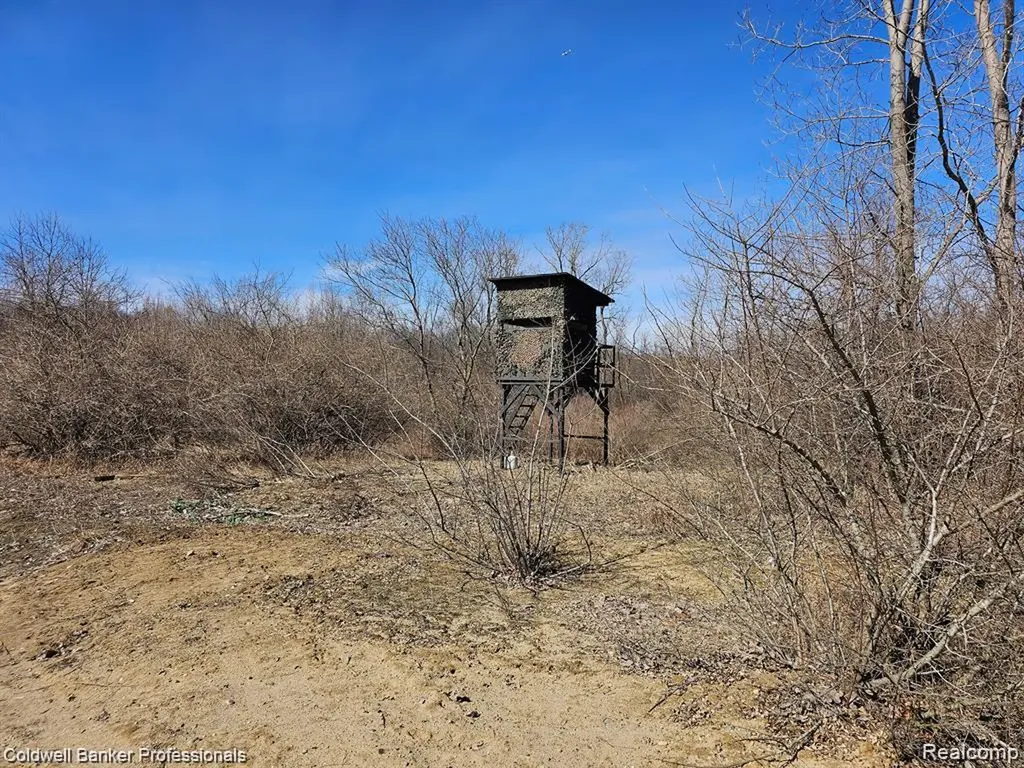 0 Jamestown Drive Metamora Township MI 48455