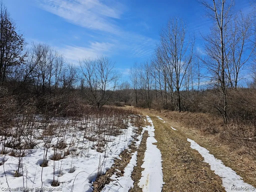 0 Jamestown Drive Metamora Township MI 48455