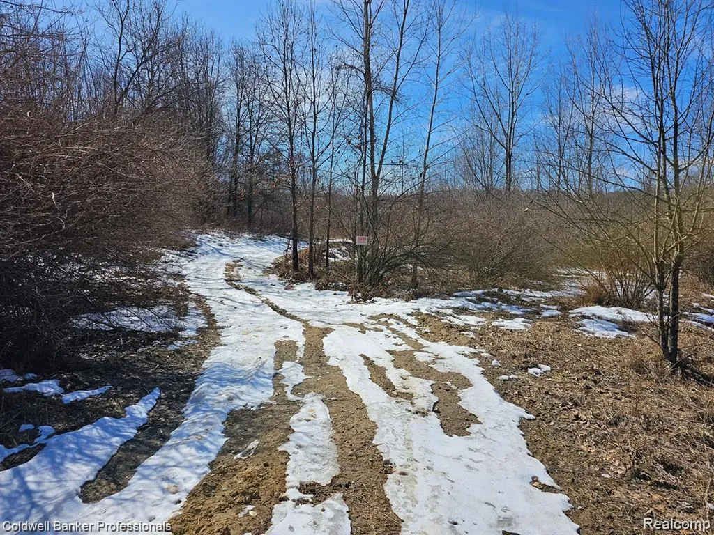0 Jamestown Drive Metamora Township MI 48455