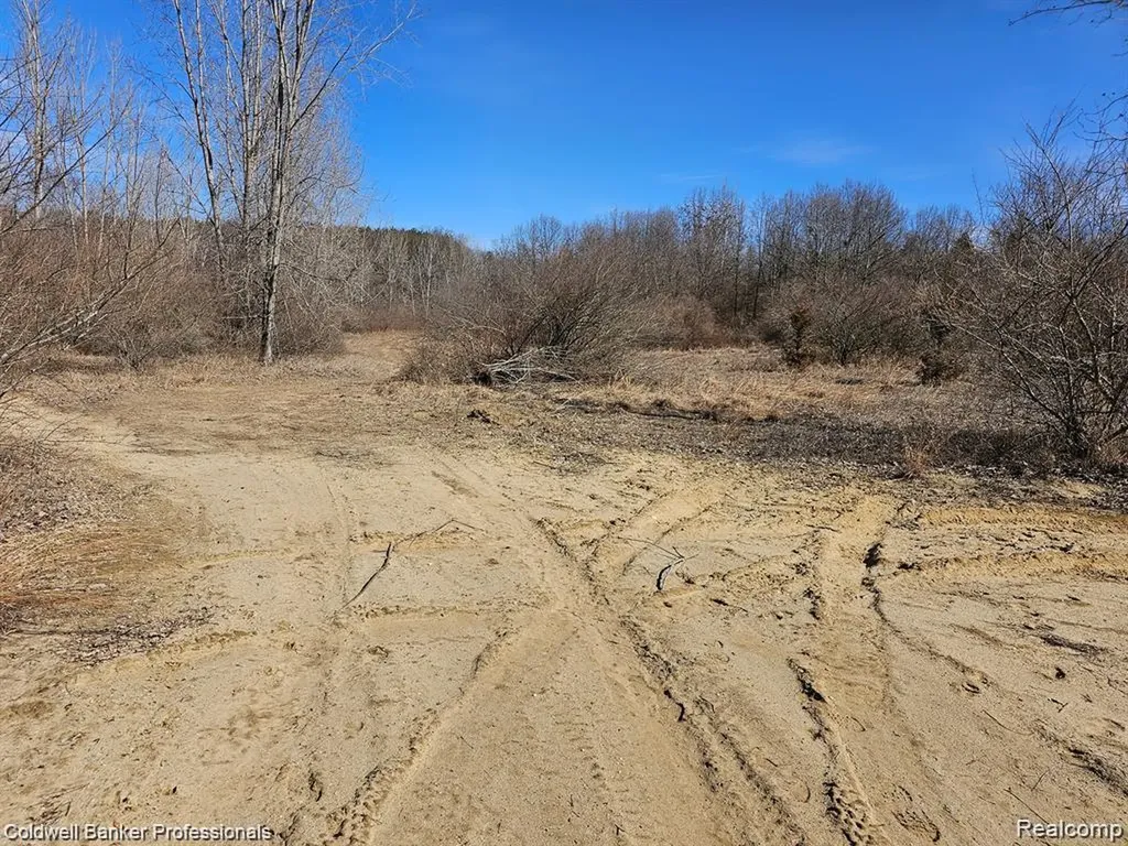 0 Jamestown Drive Metamora Township MI 48455