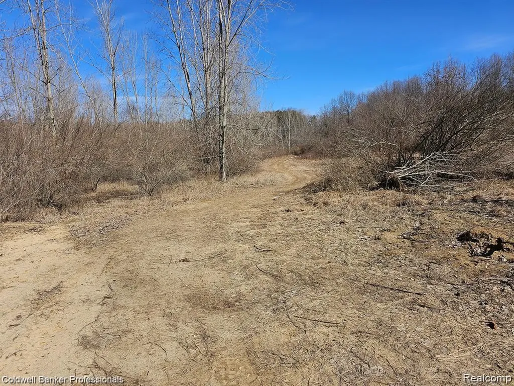 0 Jamestown Drive Metamora Township MI 48455