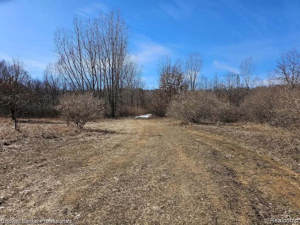 0 Jamestown Lot A, B Drive Metamora Township MI 48455