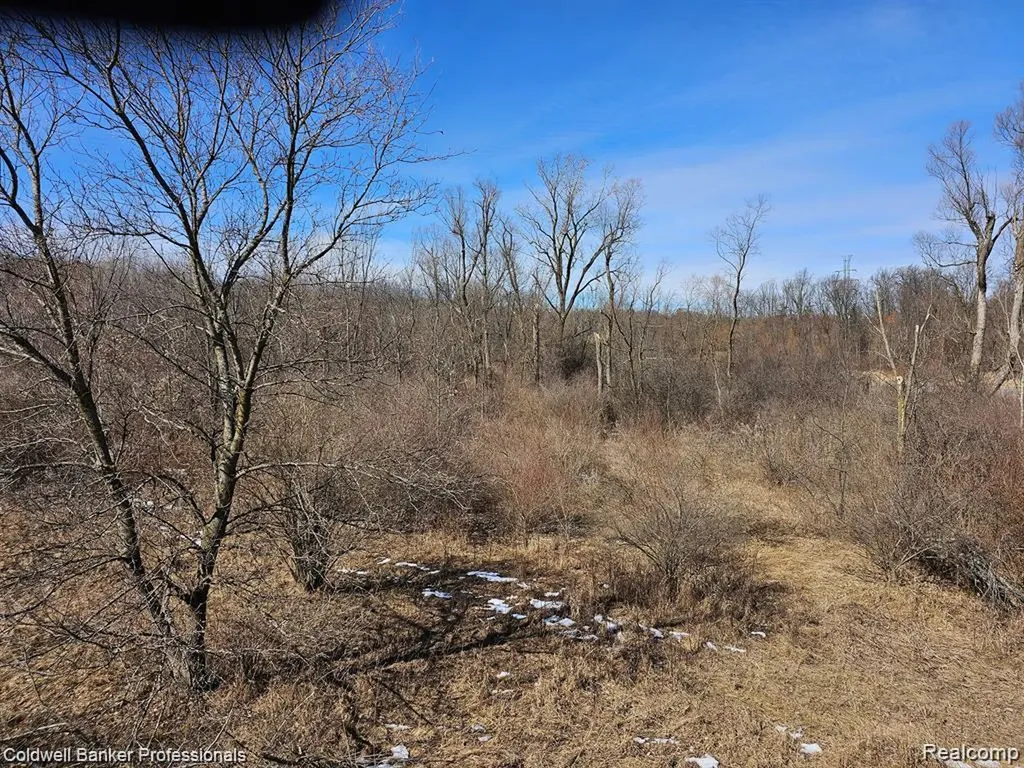 0 Jamestown Lot A, B Drive Metamora Township MI 48455