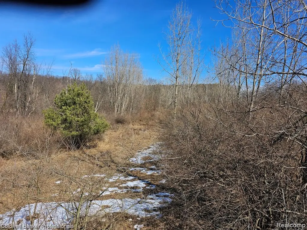 0 Jamestown Lot A, B Drive Metamora Township MI 48455