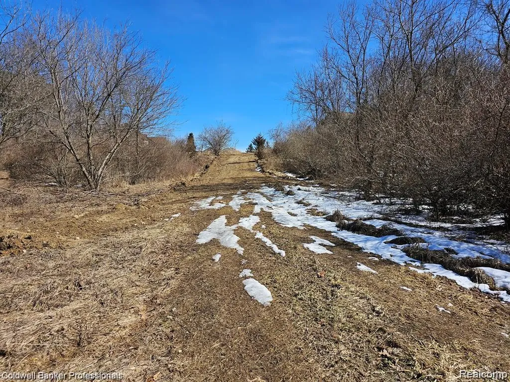 0 Jamestown Lot A, B Drive Metamora Township MI 48455