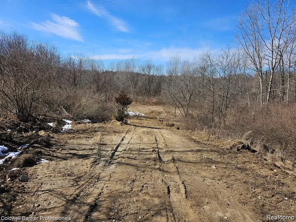 0 Jamestown Lot A, B Drive Metamora Township MI 48455