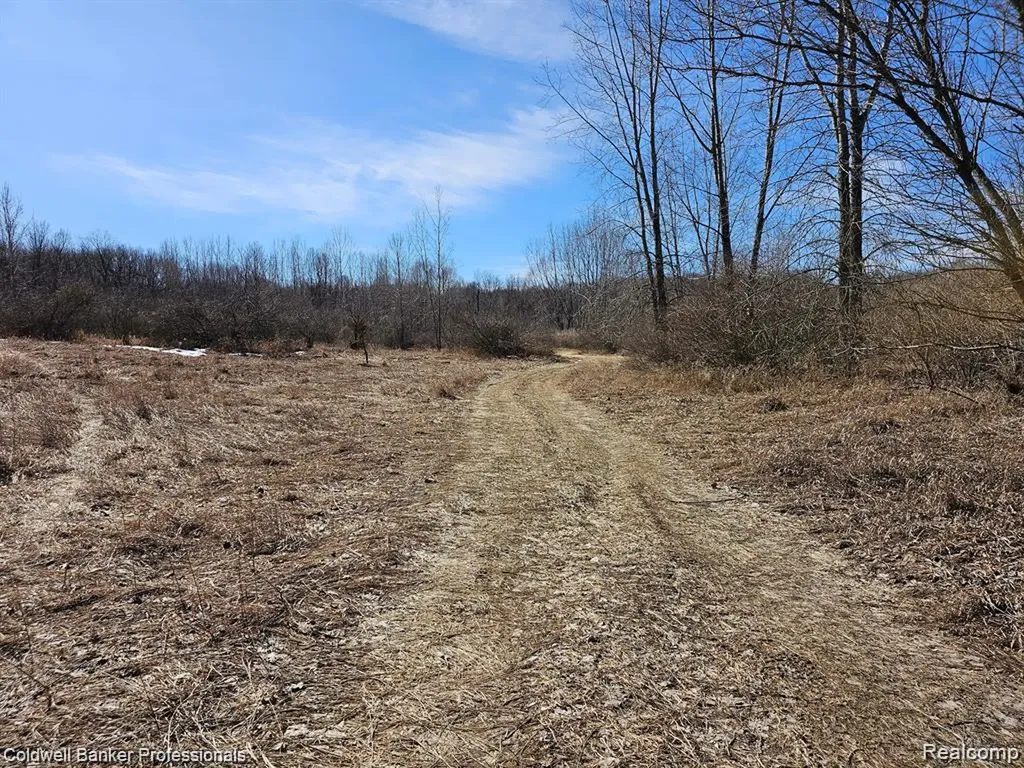 0 Jamestown Lot A, B Drive Metamora Township MI 48455