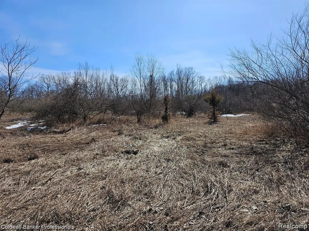 0 Jamestown Lot A, B Drive Metamora Township MI 48455