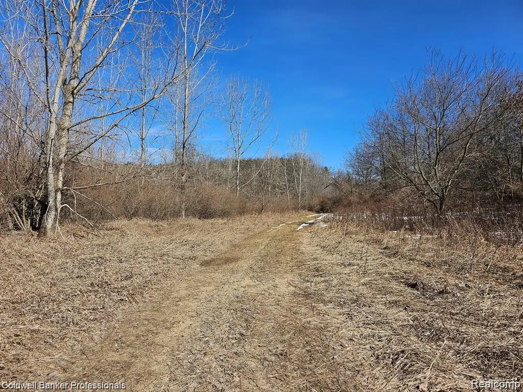 0 Jamestown Lot A, B Drive Metamora Township MI 48455