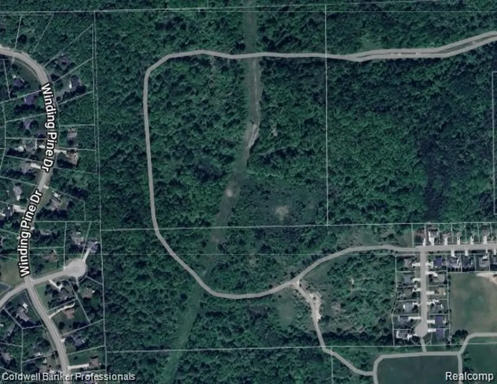 00 W Jamestown Drive Metamora Township MI 48455