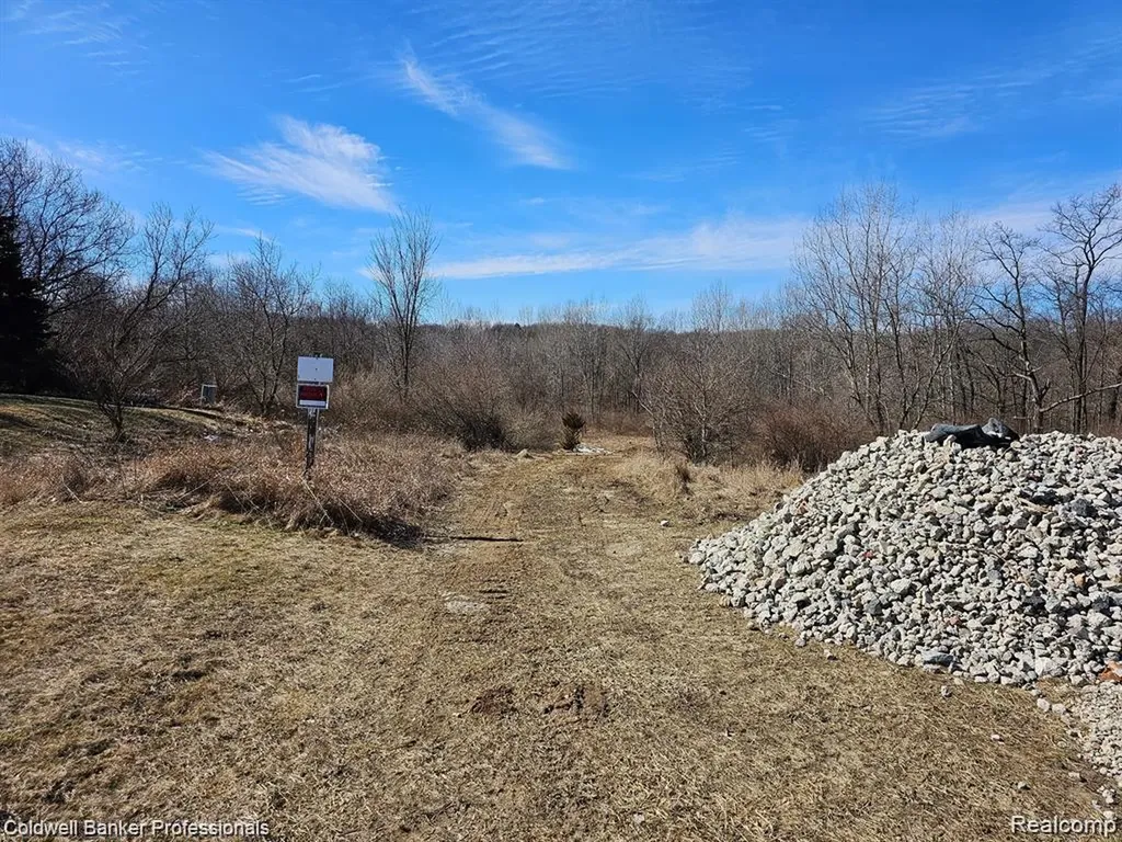 00 W Jamestown Drive Metamora Township MI 48455