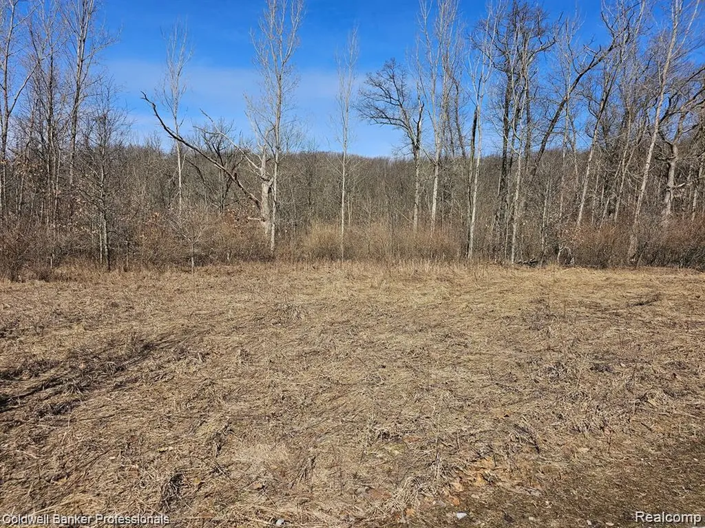 00 W Jamestown Drive Metamora Township MI 48455