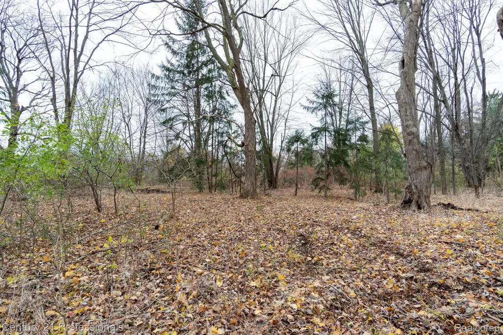Lot 2 W Walton Waterford Charter Township MI 48329