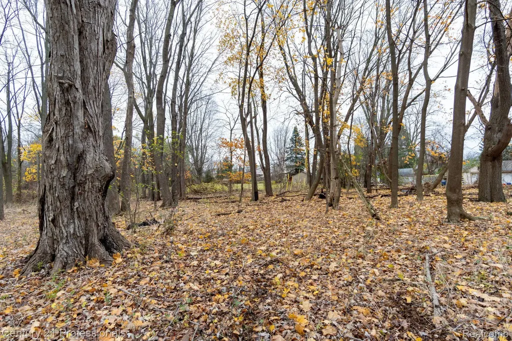 Lot 2 W Walton Waterford Charter Township MI 48329