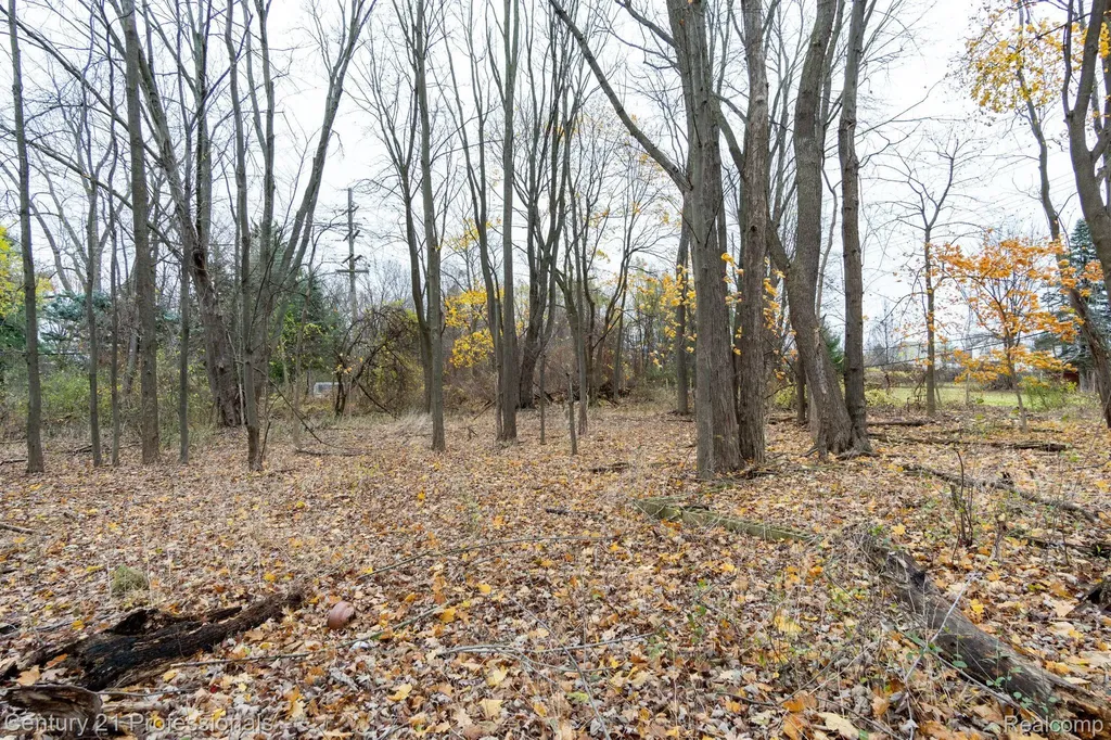 Lot 3 W Walton Waterford Charter Township MI 48329