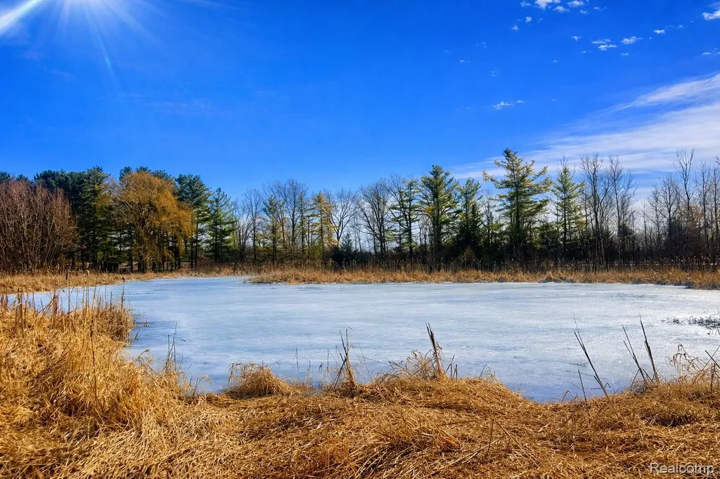 3132 Merwin Road Elba Township MI 48446