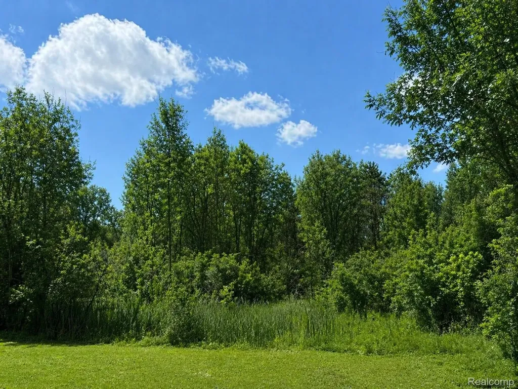 1223 Lexa Lane Mundy Township MI 48507