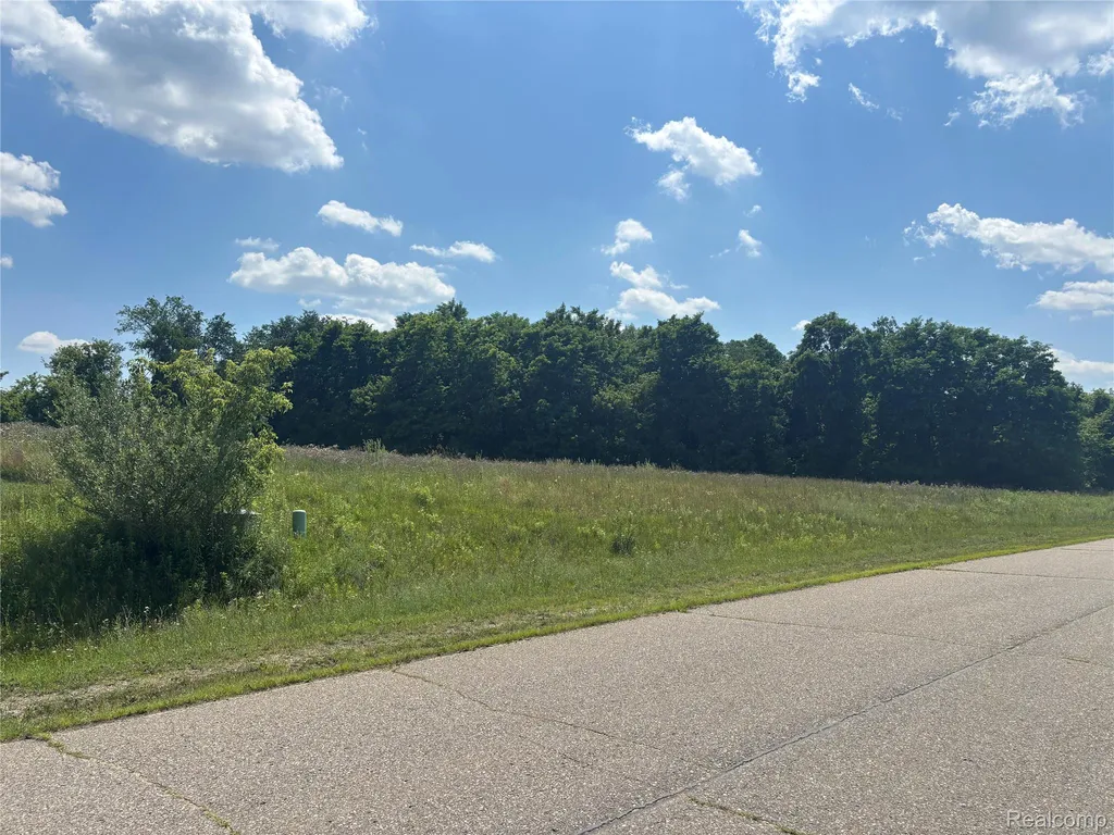 11 Lauren Lane Dryden Township MI 48428