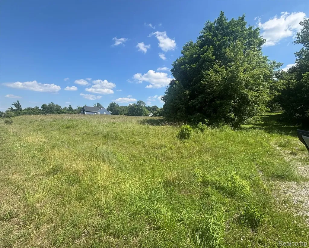 11 Lauren Lane Dryden Township MI 48428