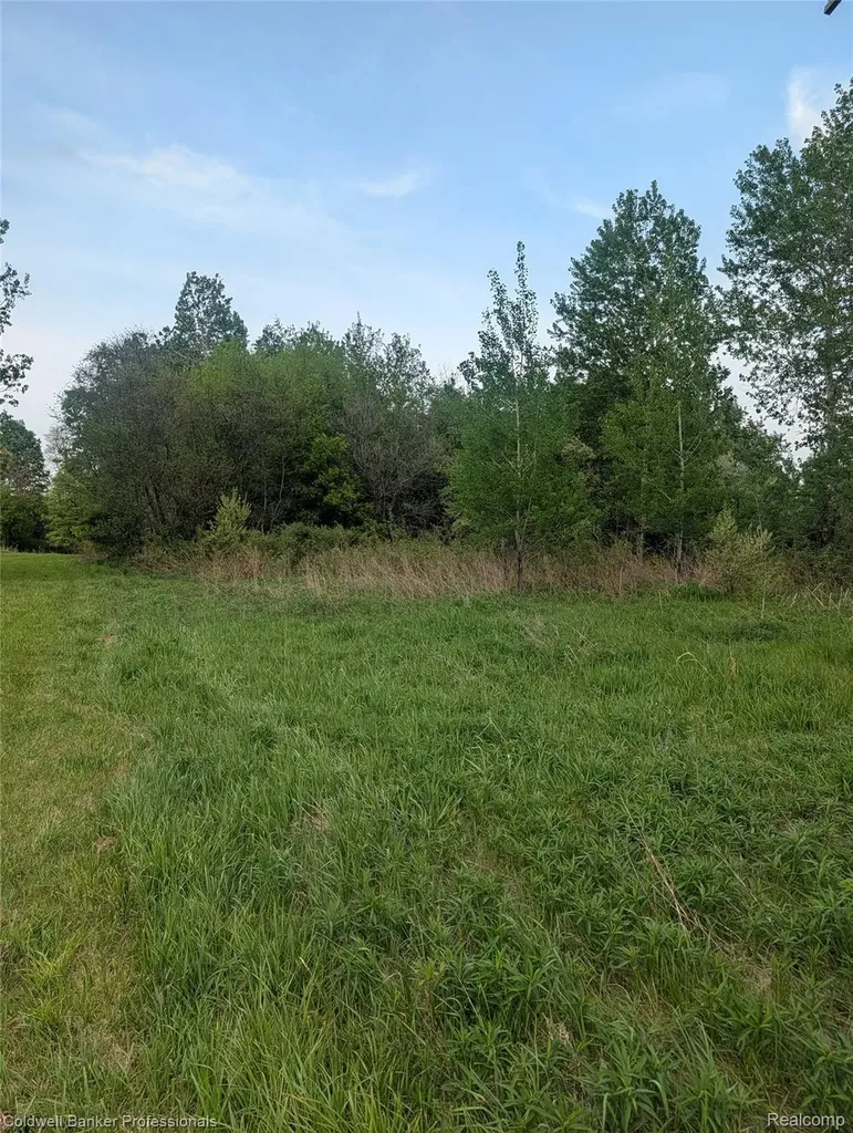 0000 N Lapeer Road N Lapeer Road Deerfield Township MI 48461