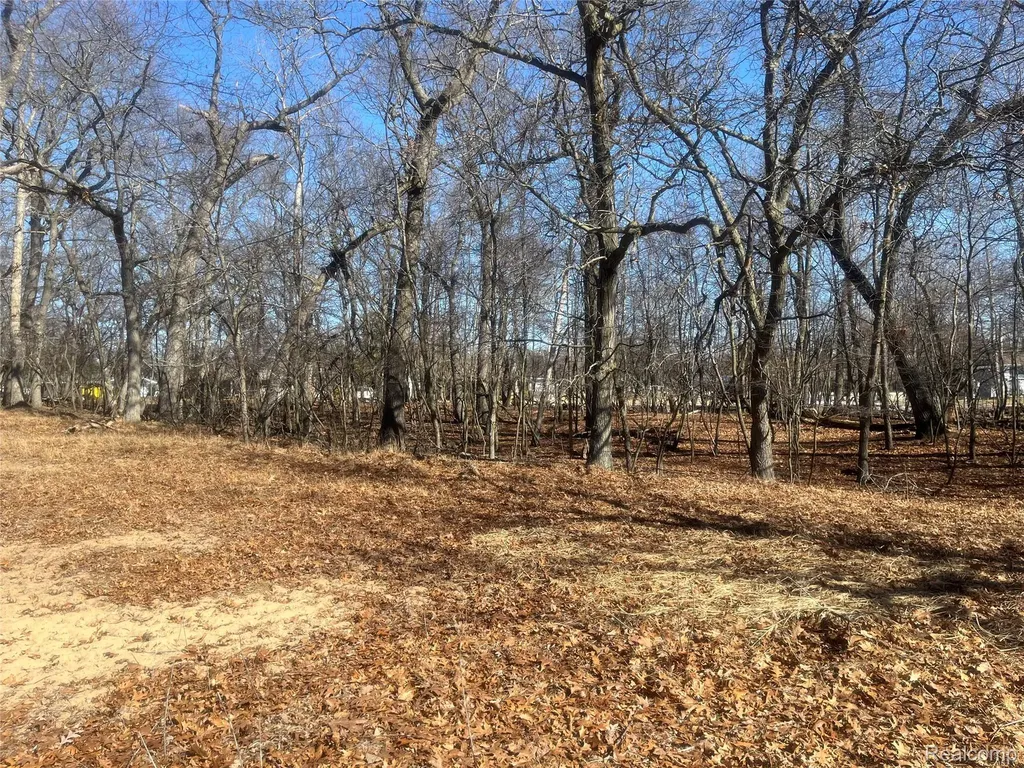 0 White Sands Drive Caseville Township MI 48755