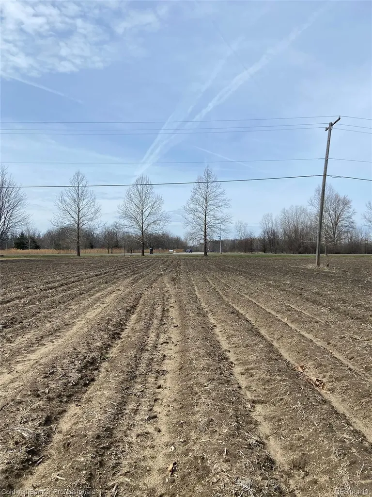 8705 Whittaker Road Augusta Charter Township MI 48197