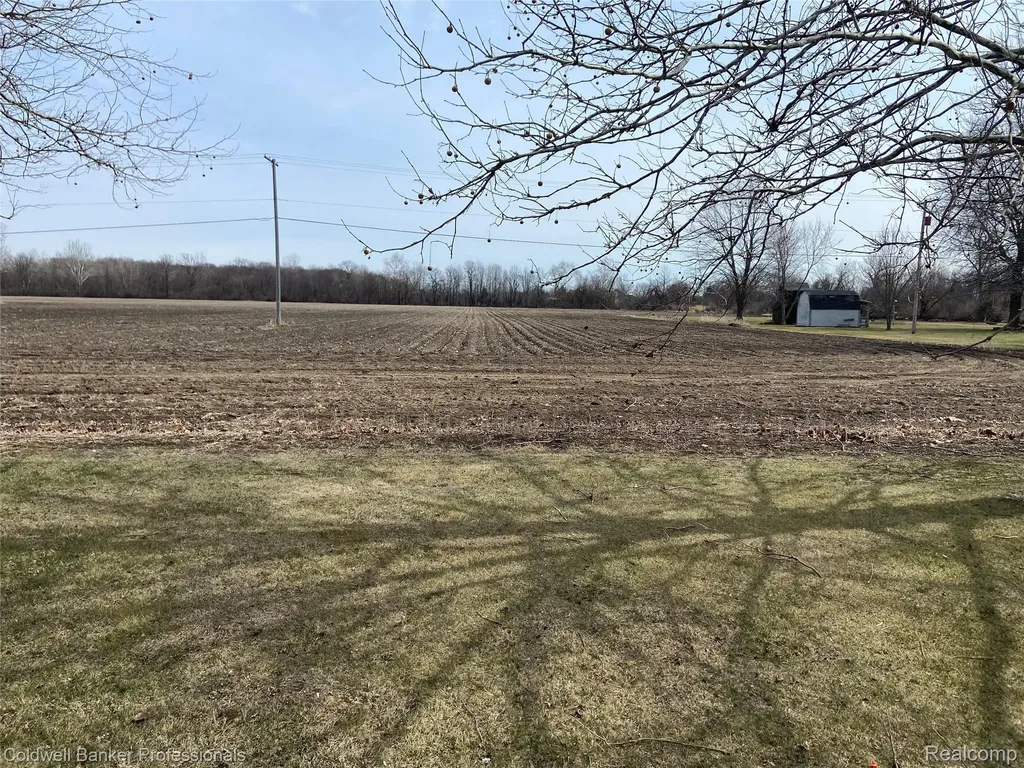 8705 Whittaker Road Augusta Charter Township MI 48197