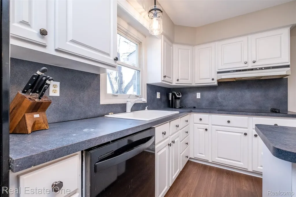 10420 Cedar Point Drive White Lake Charter Township MI 48386