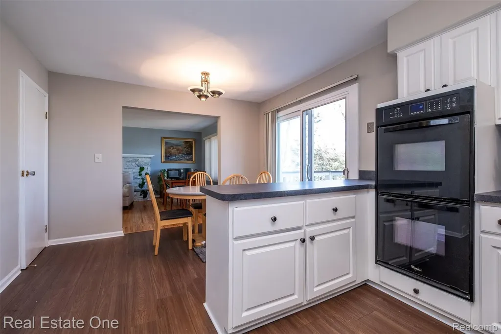 10420 Cedar Point Drive White Lake Charter Township MI 48386