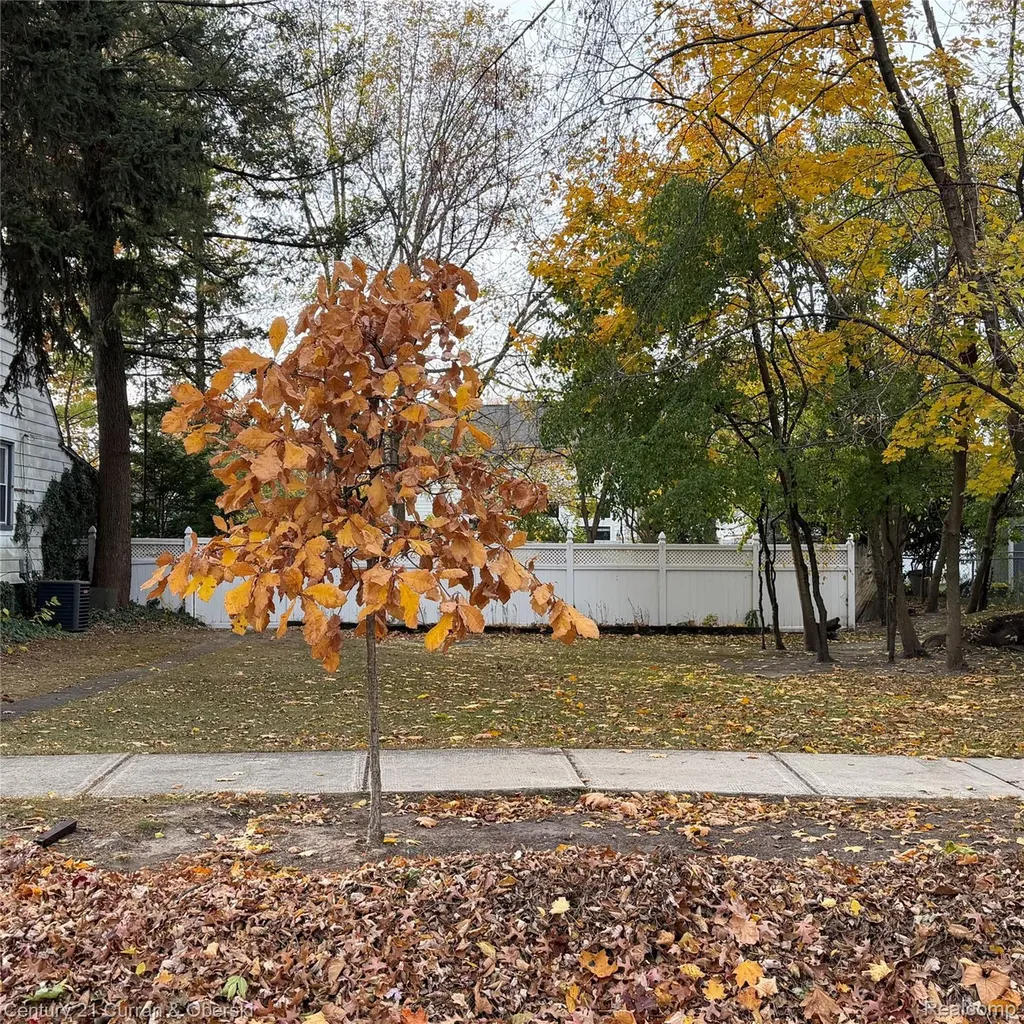 418 S Dorchester Avenue Royal Oak City MI 48067