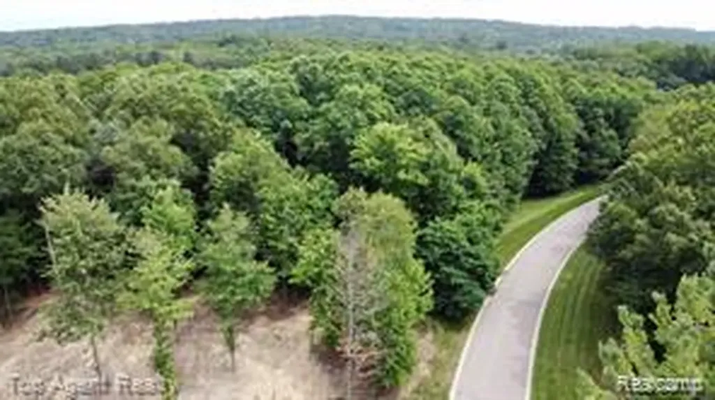 1511 Barrwood Trail Oxford Charter Township MI 48371