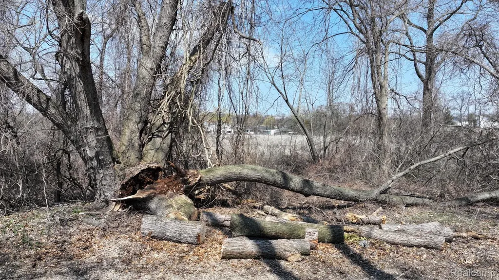 Tbd Steadfield Street Commerce Charter Township MI 48382