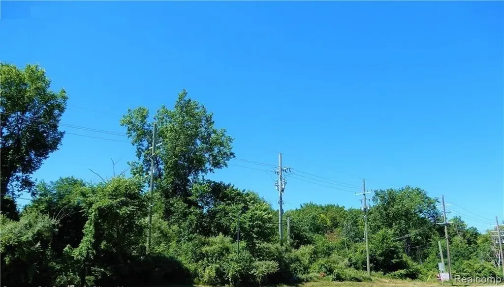 V/l Dixie Highway Independence Charter Township MI 48346
