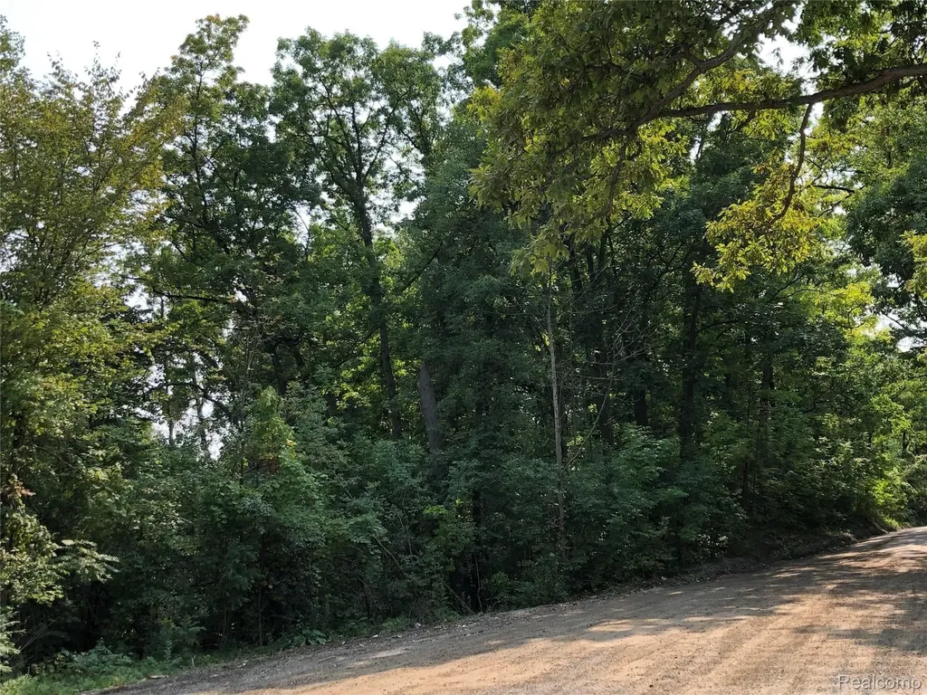 V/l Dixie Highway Independence Charter Township MI 48346