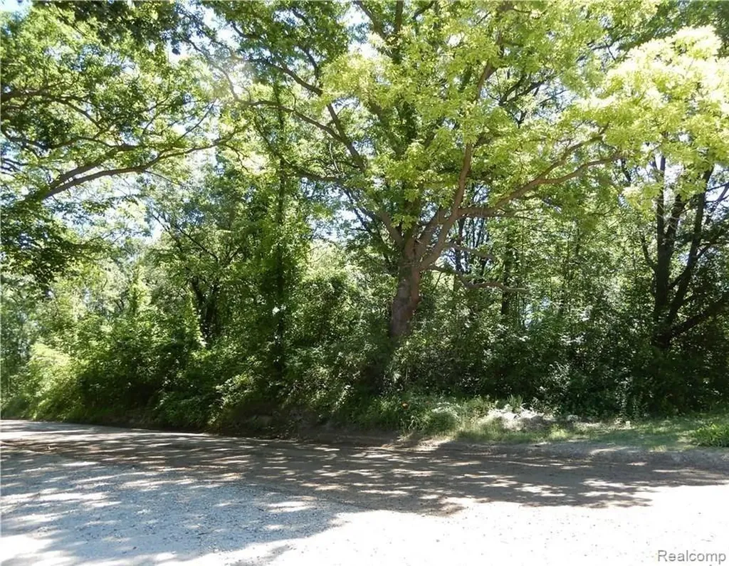 V/l Dixie Highway Independence Charter Township MI 48346