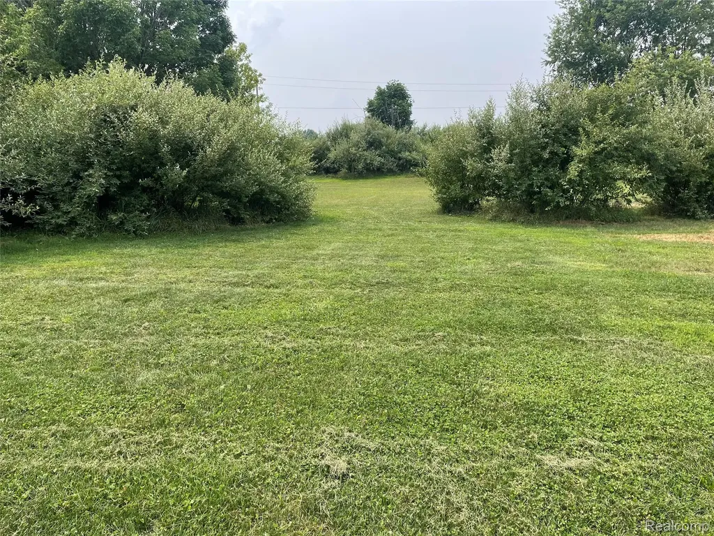 820 Lockwood Road Ortonville Village MI 48462