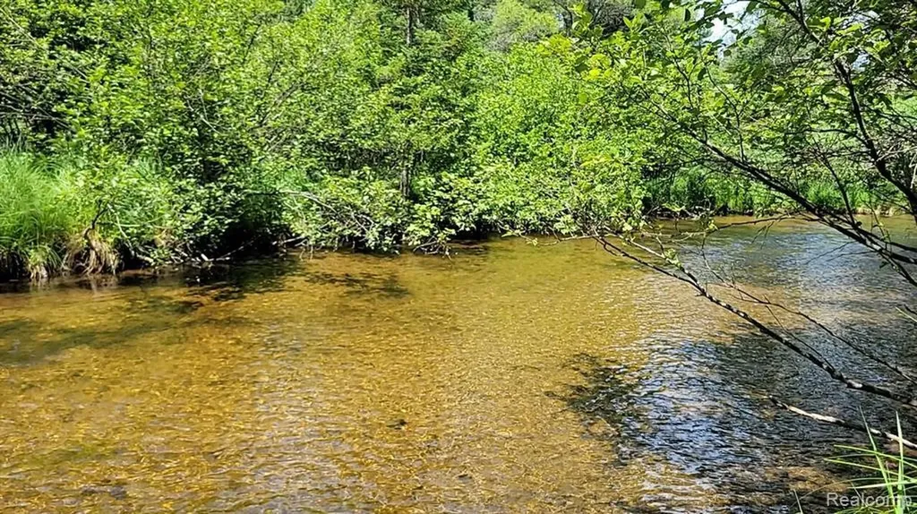 0 Palmer Place Grayling Charter Township MI 49738
