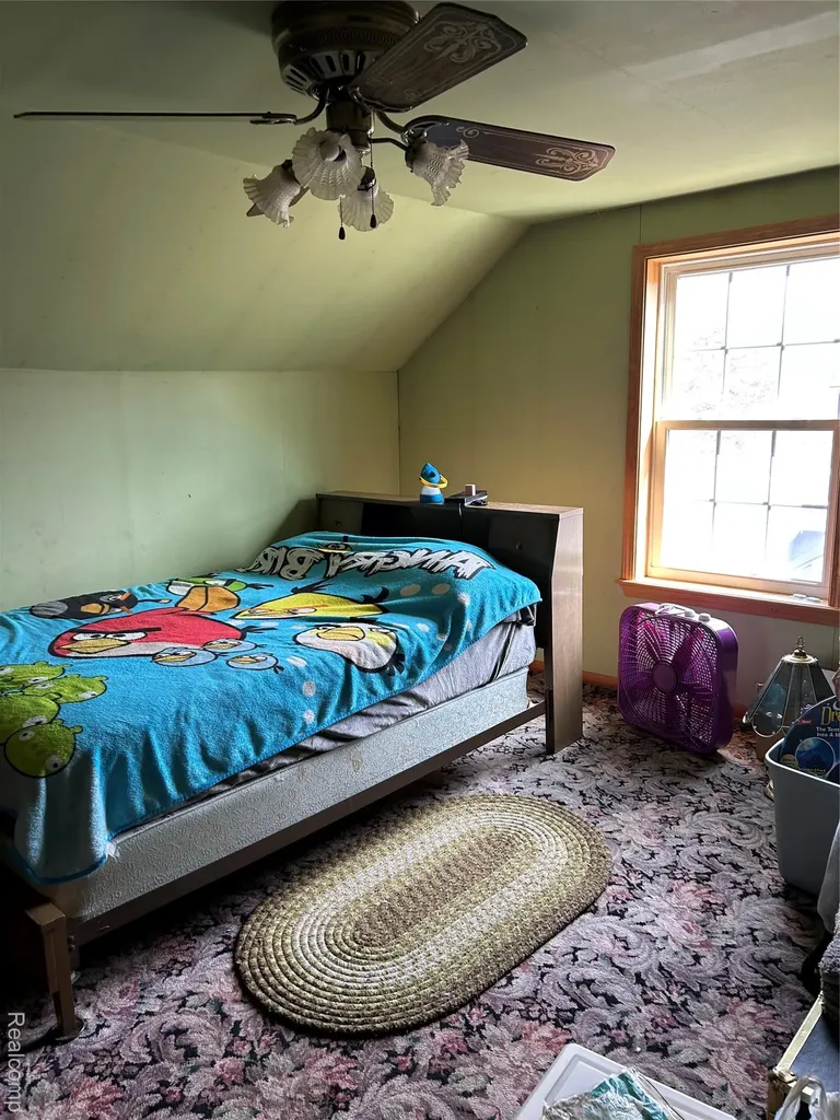 6667 Houghton Street Cass City Village MI 48726