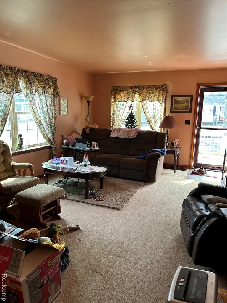 6667 Houghton Street Cass City Village MI 48726